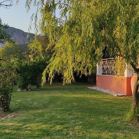Villa Grecia リアパデス エクステリア 写真
