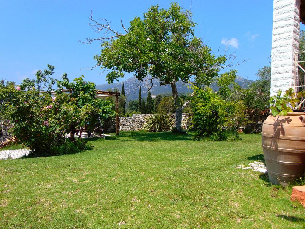 Villa Grecia リアパデス エクステリア 写真